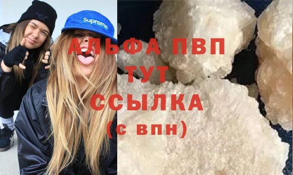 СК Бородино