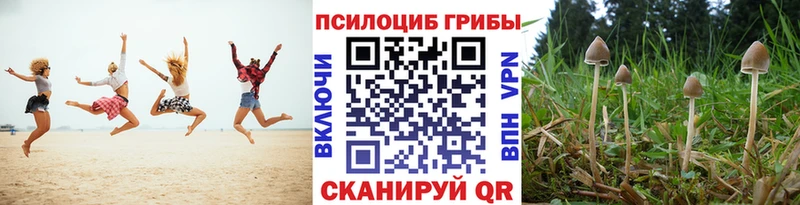 kraken   где купить наркотик  Балаково  Псилоцибиновые грибы Magic Shrooms 